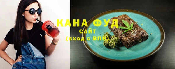 гидра Новодвинск