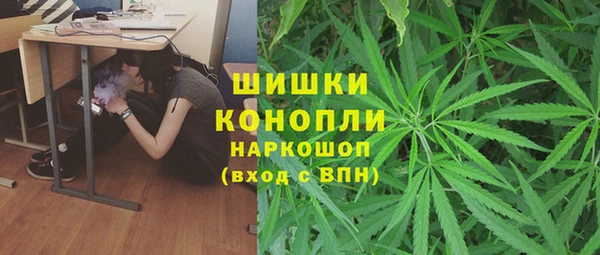 apvp Новозыбков
