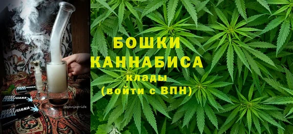 мдпв Заводоуковск